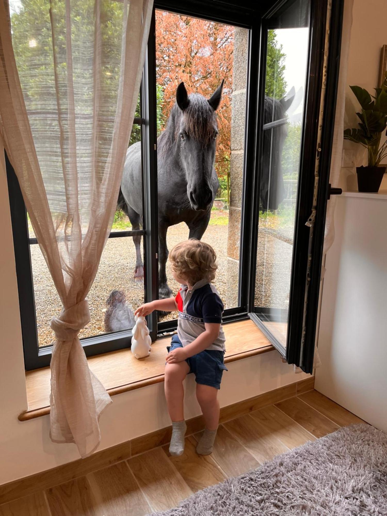 Madelaine Ranch, Nouvelle Piscine 2025 Villa Le Gast ภายนอก รูปภาพ